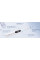 Szczoteczka Oral-B iO Series 7 White Alabaster